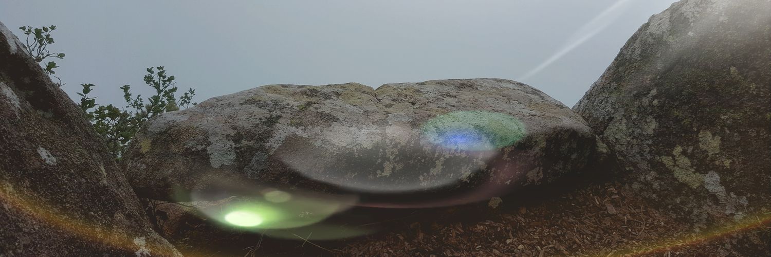 Enrique Corbis banner