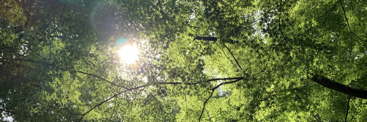 いぐち さやか banner