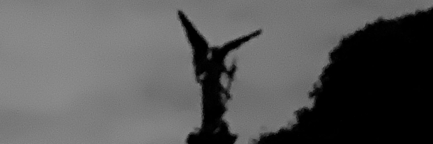 Creepygirledi's profile banner image