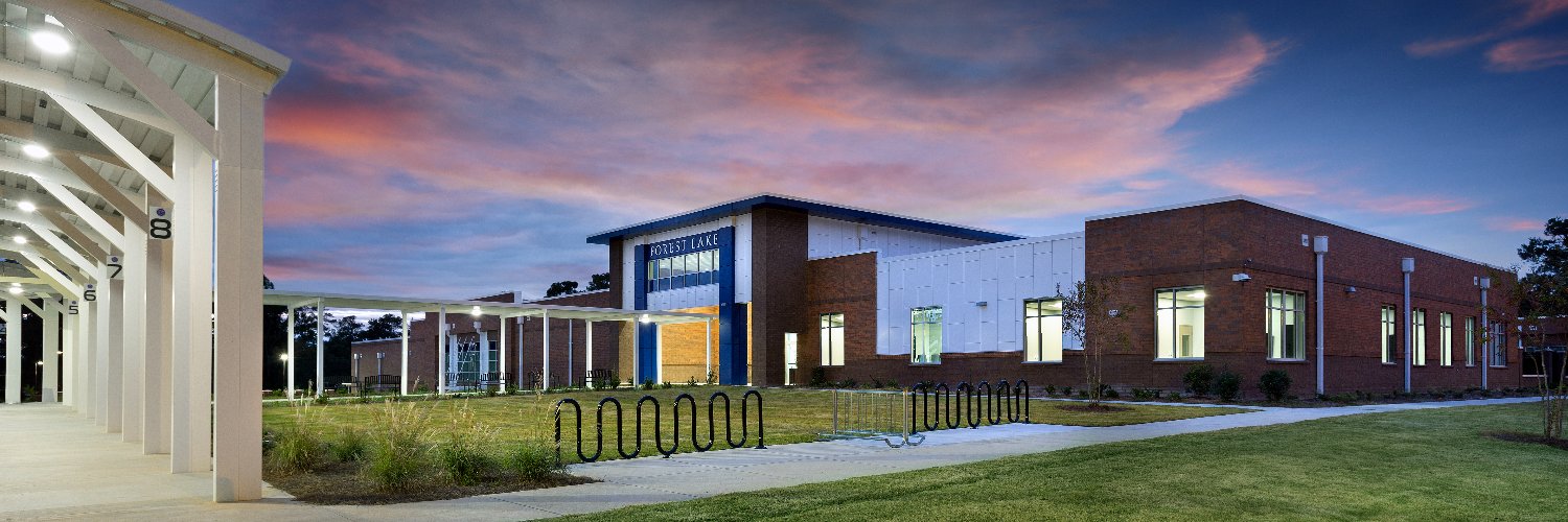 ForestLakeEagle's profile banner image