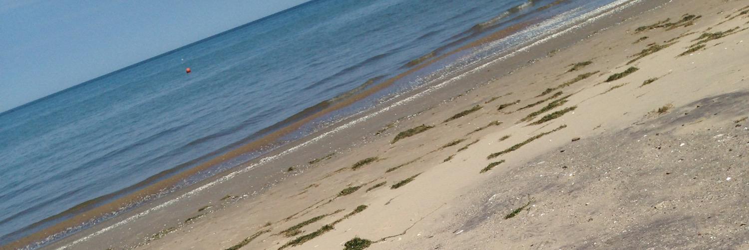ThePastor'sWife🤷‍♀️ banner