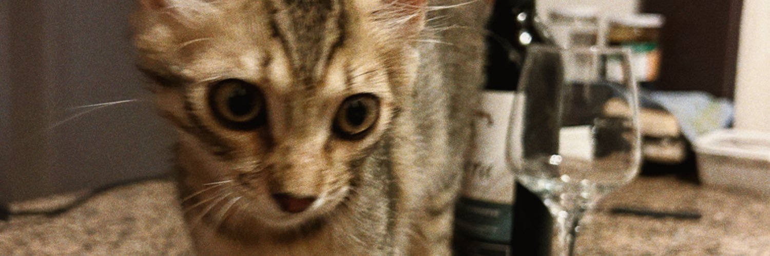 evrenselolan's profile banner image