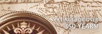 ProffPaul1's profile banner image