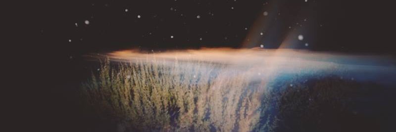 Nick Williams banner