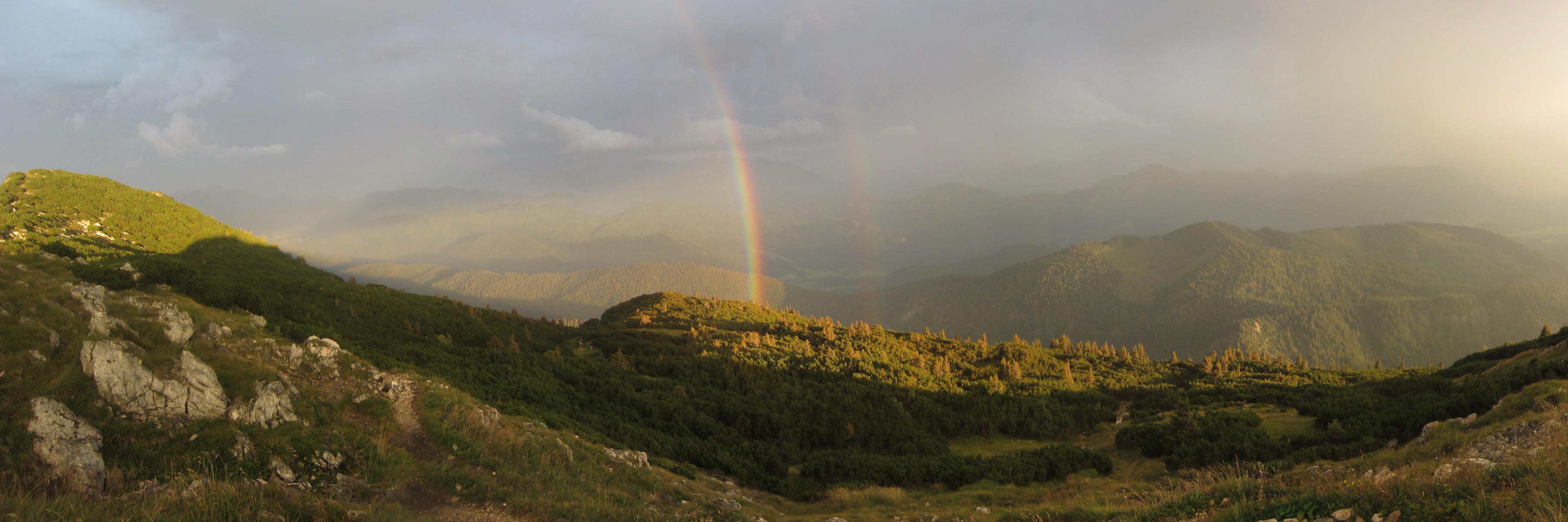 Waldschneider's profile banner image