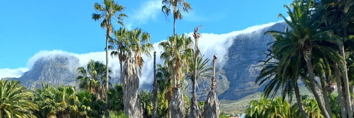 Mapitso_H's profile banner image