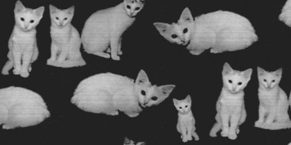DanHowellGG's profile banner image