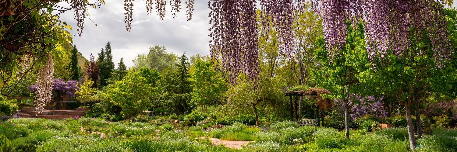 redbuttegarden's profile banner image