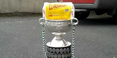 David Buckley banner