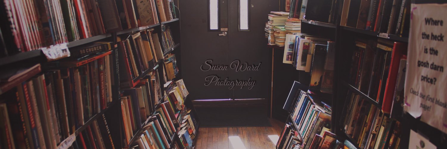 Susan Ward 📚 banner
