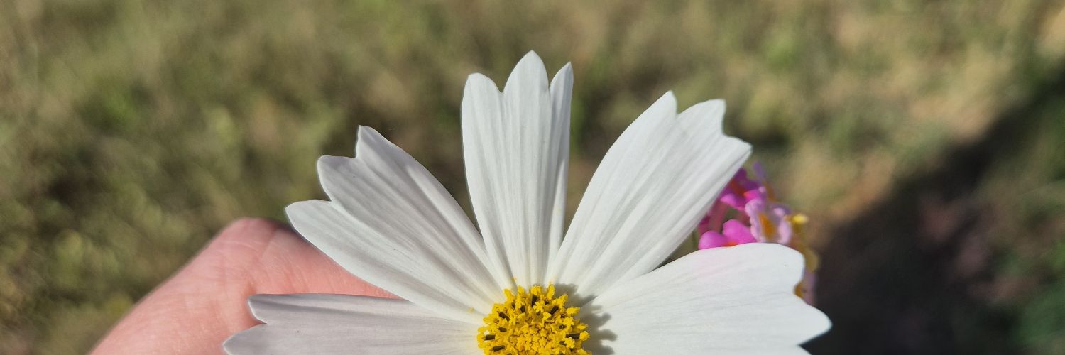 narebson's profile banner image