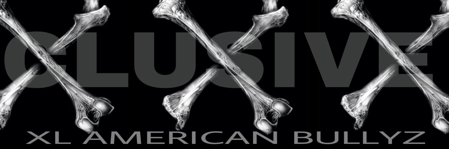 XXXCLUSIVEBULLY's profile banner image