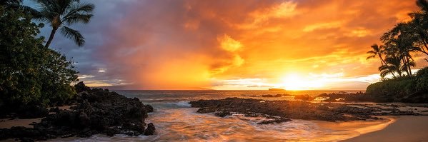 Lex_freire4's profile banner image