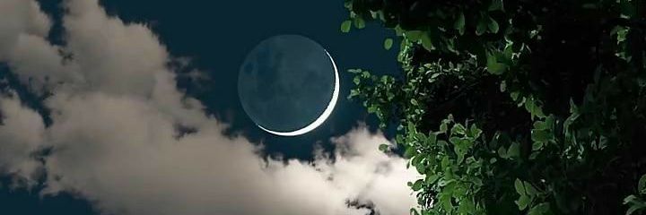 nour50436's profile banner image