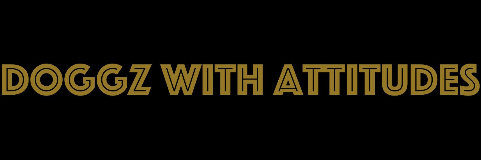 the_DWA's profile banner image