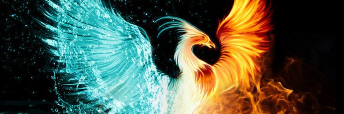 ogzhnerkn's profile banner image