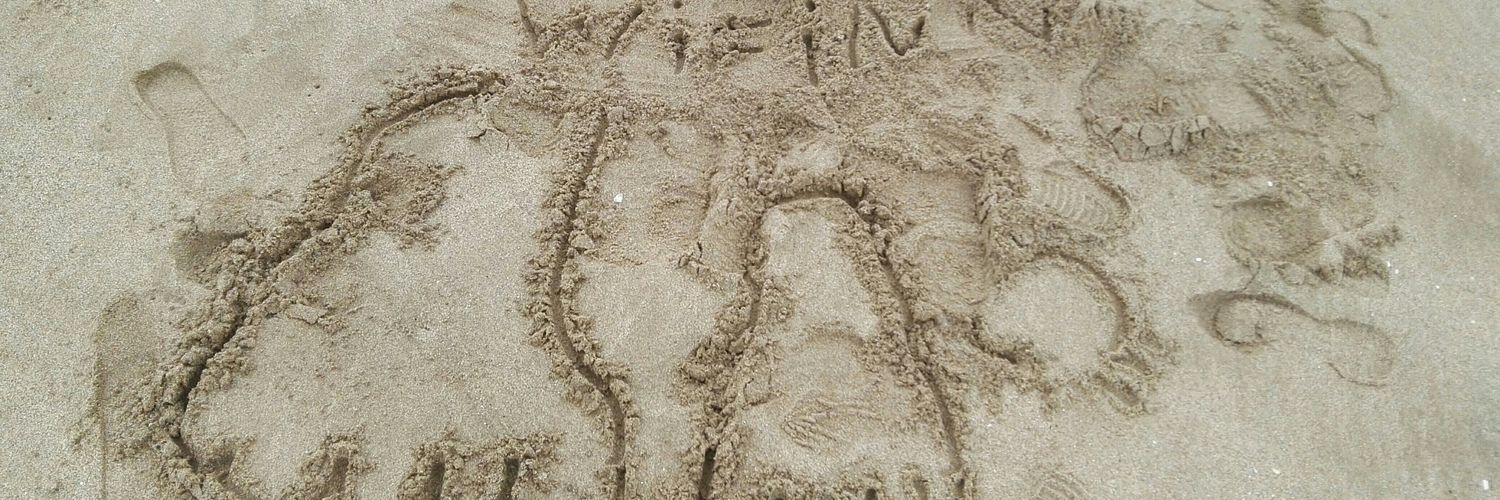 NPwifinn's profile banner image