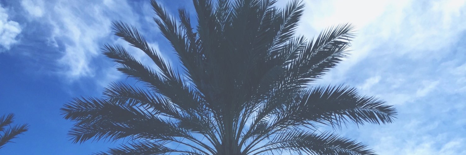 caitIinross's profile banner image