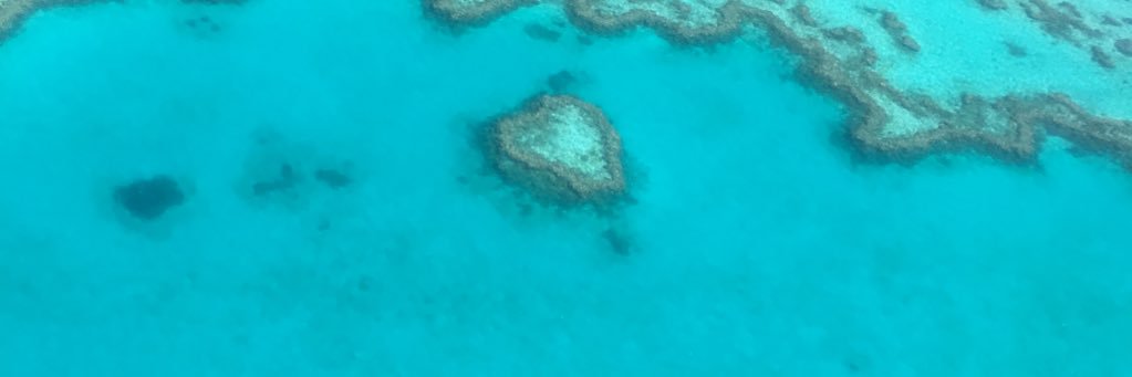 lizzie🦋 banner