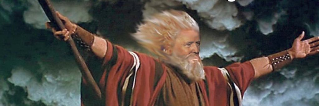 Infidel Angela🇺🇸 banner