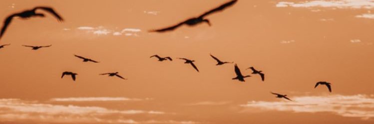 natalia_fvs's profile banner image