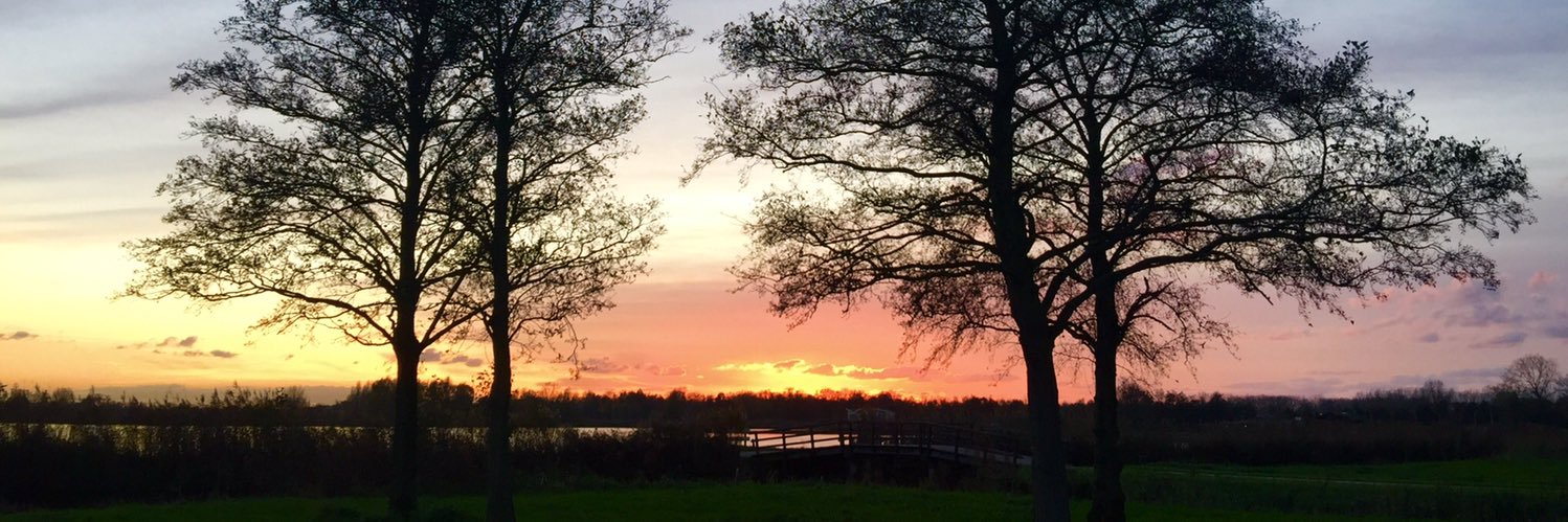 Goudaman 🚴‍♂️ banner