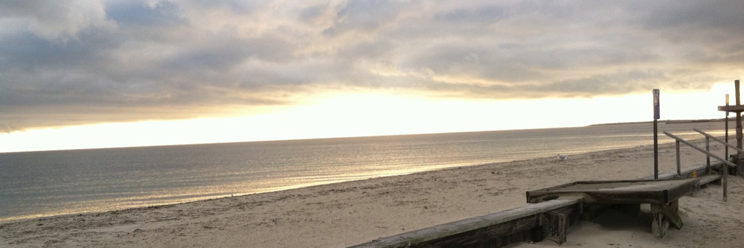 Anne Thompson banner