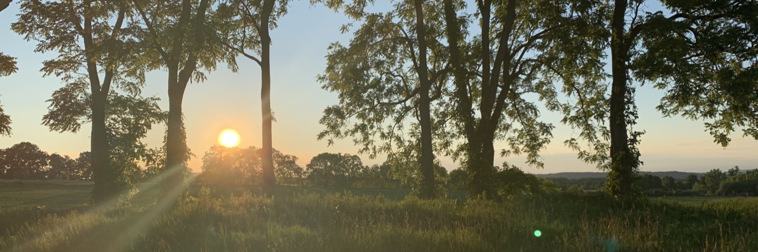 emmaphelpss's profile banner image
