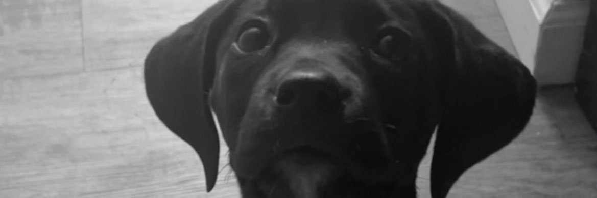 ReidALittle's profile banner image