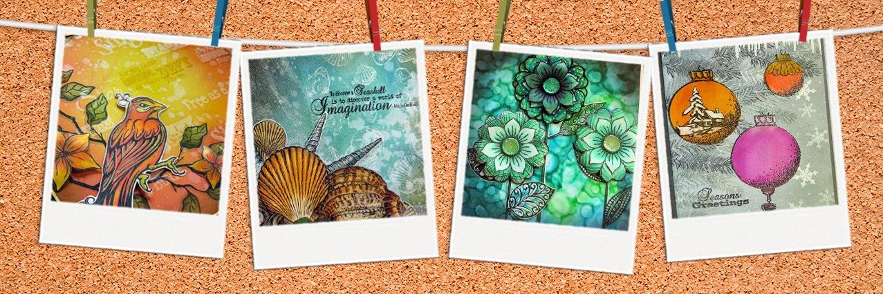 Fiona Clayton banner