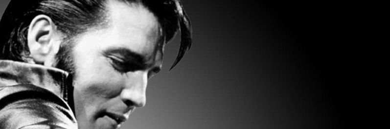 TheMagnificentT 🇳🇱 banner
