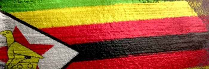 ZivanomoyoMarx's profile banner image