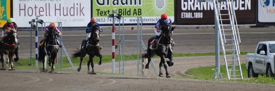 Emma Mattsson banner