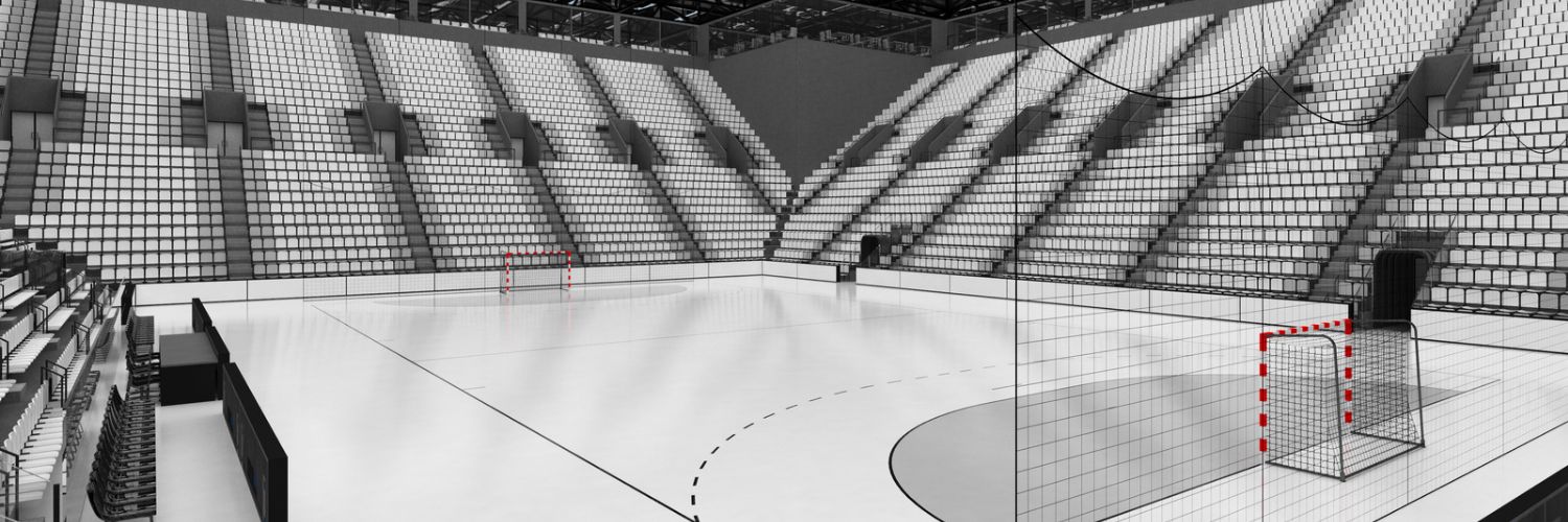 LocaHandbolera's profile banner image