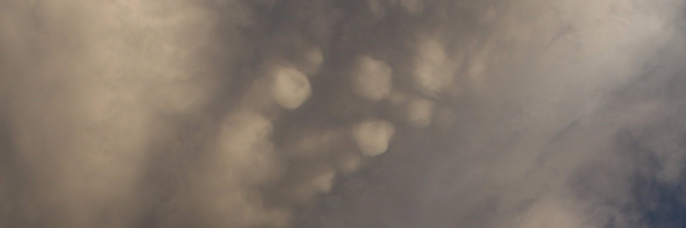 Yaseminn Çuhadarr banner