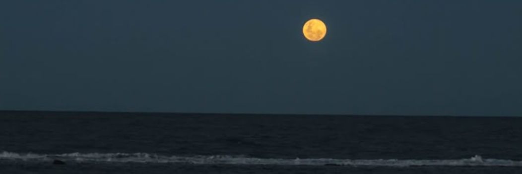 moonlight banner