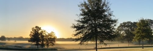 melkneedham's profile banner image