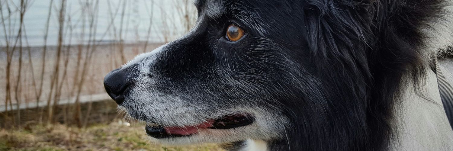 irwin217's profile banner image