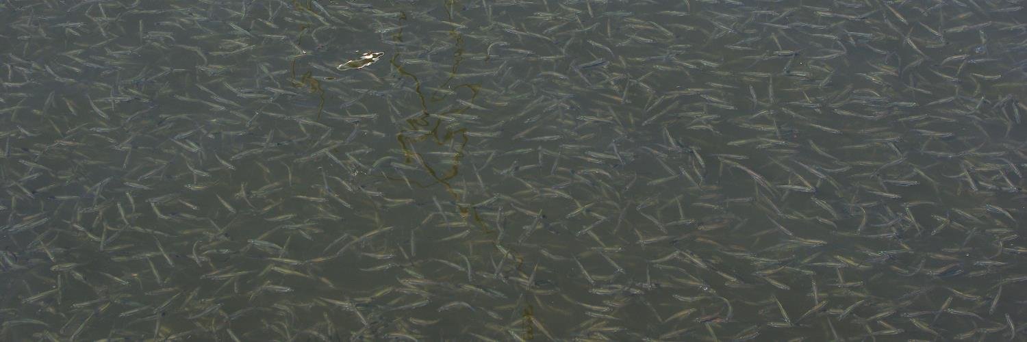 GrumpyBurbot's profile banner image