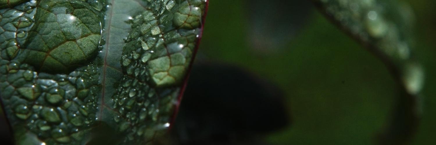 camiloserram's profile banner image