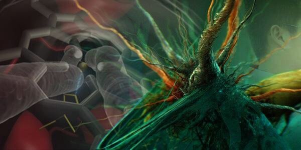 celldebris's profile banner image