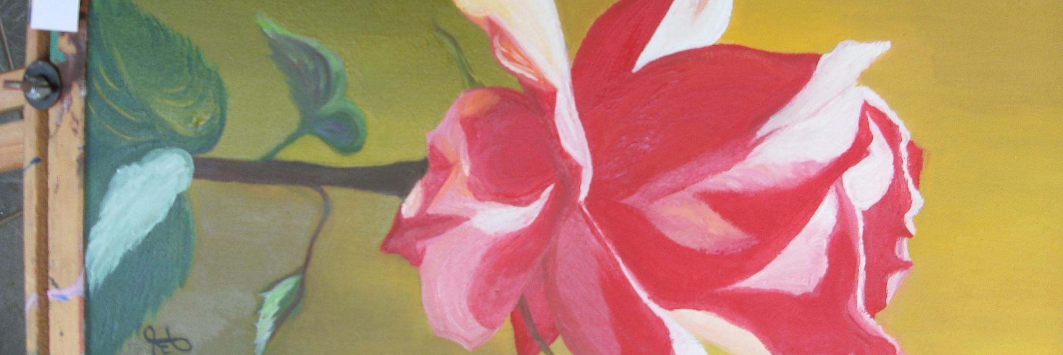 luisanajedrez's profile banner image