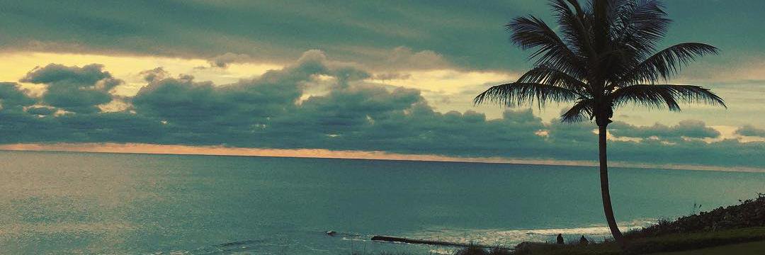 LaraSimonJr's profile banner image