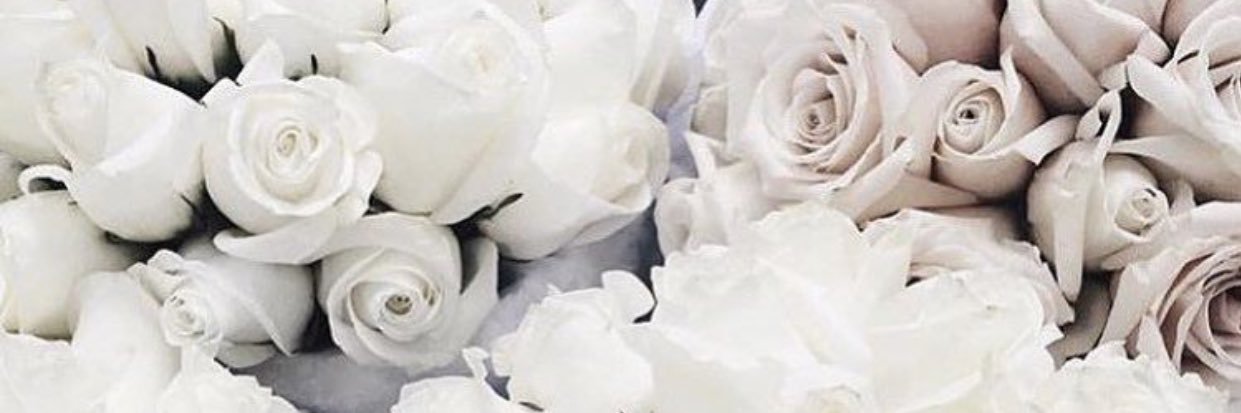 _ErinLJohnson's profile banner image