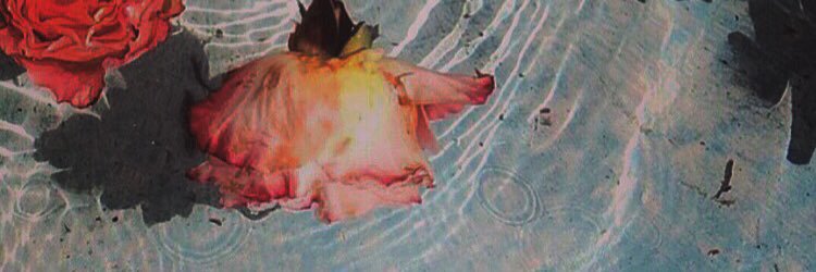 lIIvesound's profile banner image