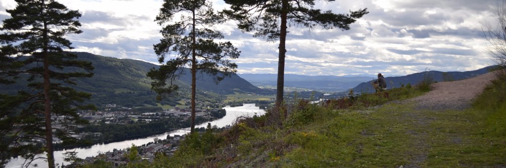 fastermaja's profile banner image