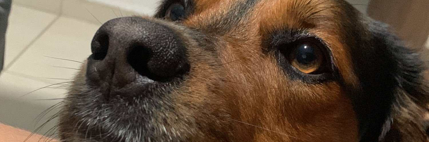 Magbr22's profile banner image