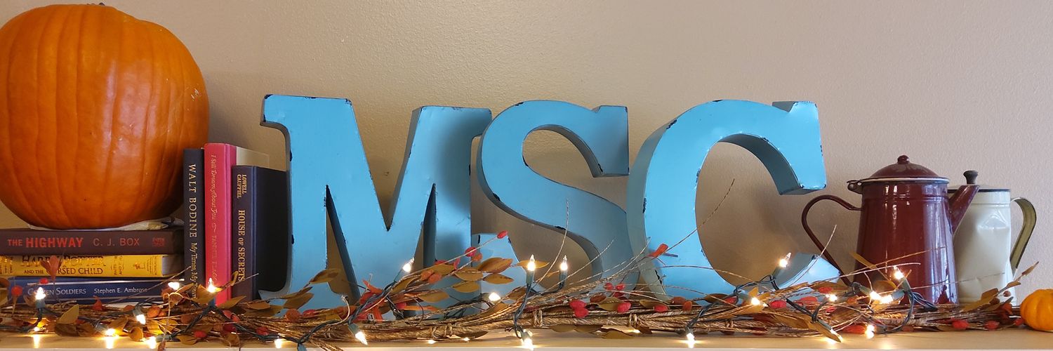 MainStreetIndep's profile banner image