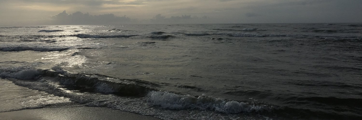 Lisa Hobson-Webb banner