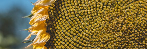 conscious_org Profile Banner